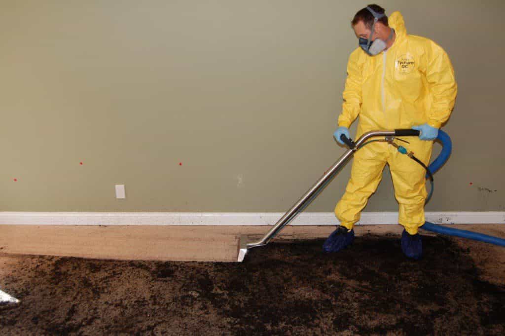 Experts Tackle Hazardous Sewage Cleanup Swiftly and Safely